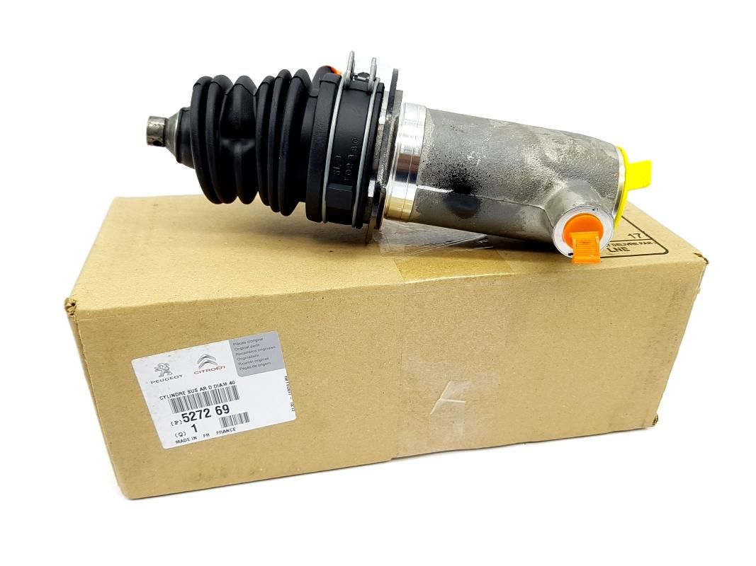 Stoßdämpfer Rechts Hinten Neues Original 527269 Citroen C5 01-07 main product photo